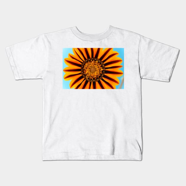 Gazania &#39;Tikal&#39;  SunBathers Series Kids T-Shirt by chrisburrows